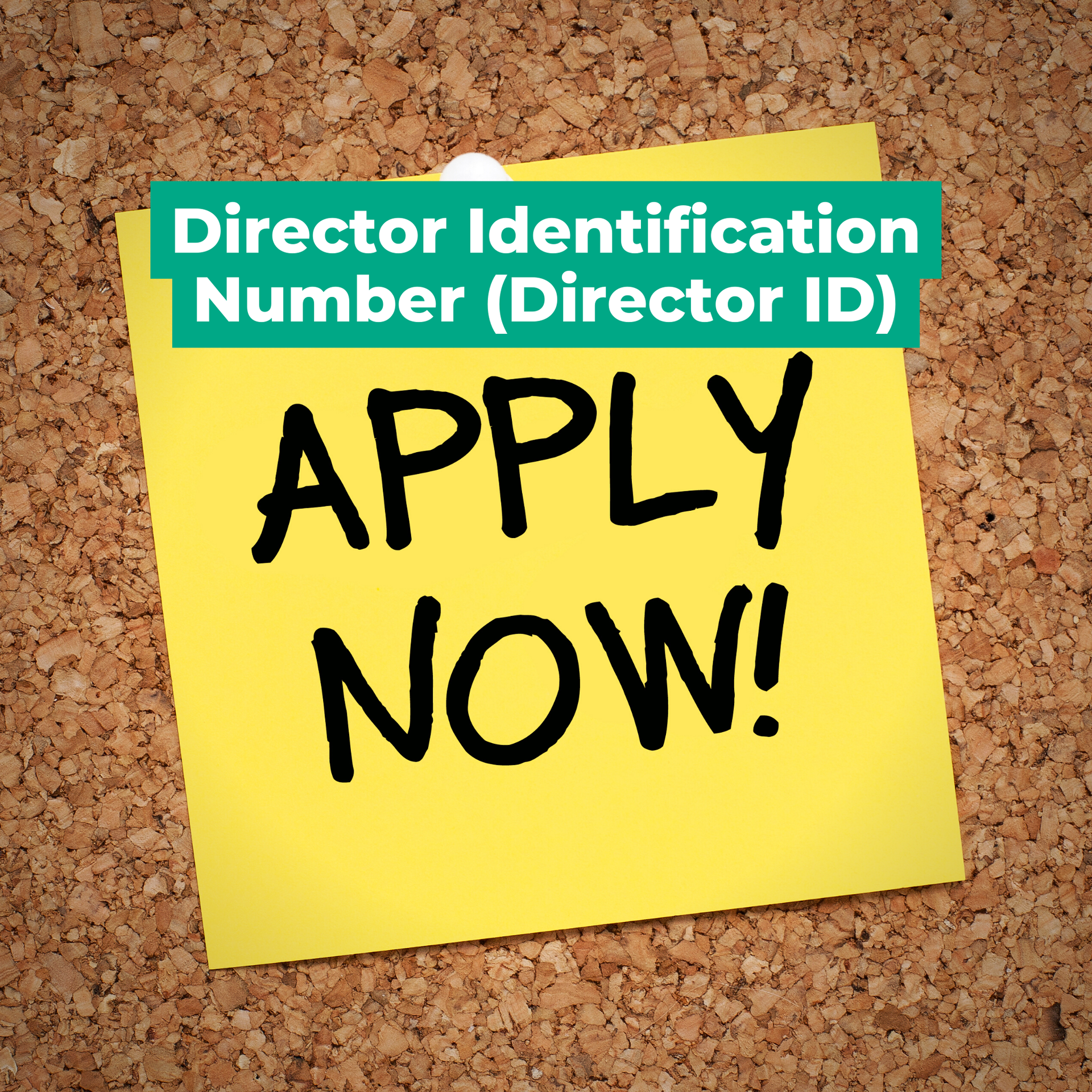 A note reading Director Identification Number, apply now