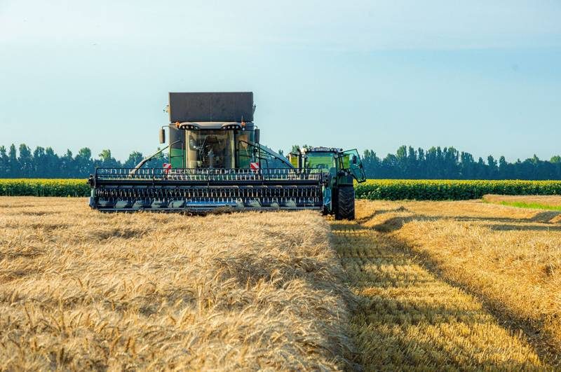 Accountants for farming and agribusiness
