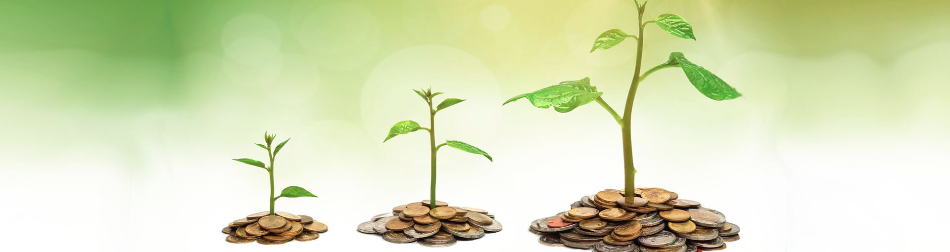 Getting your business finance ready