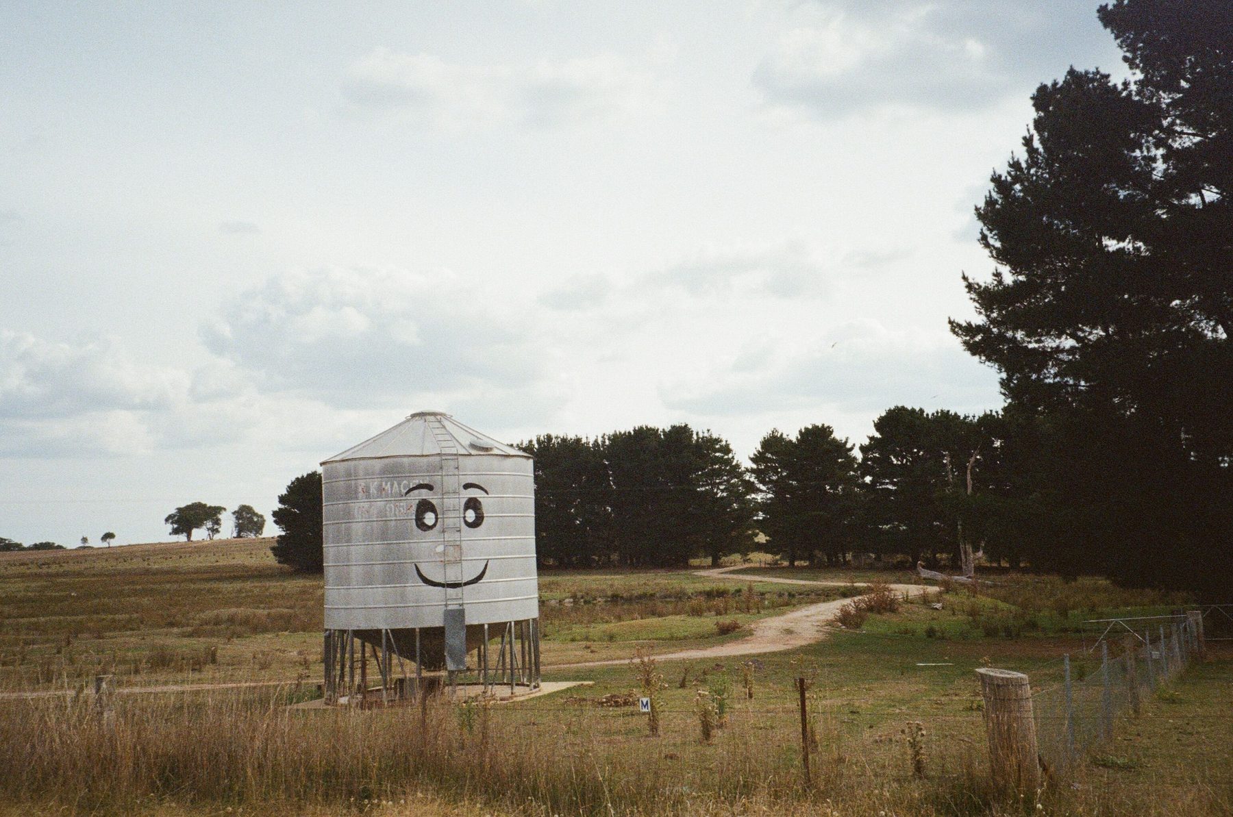 Rural grain silo in a Central West NSW paddock near Orange